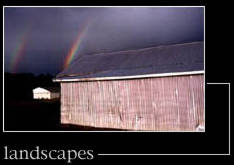 landscapes